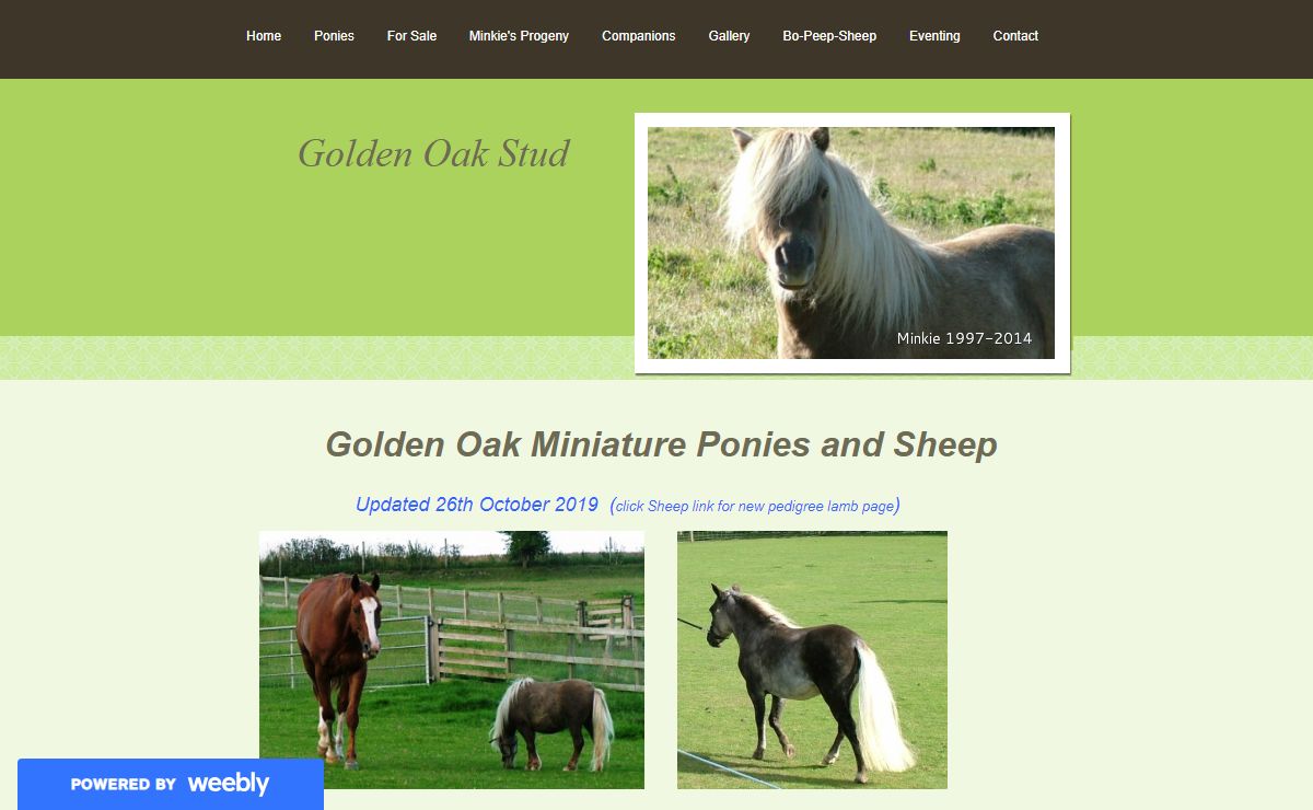Golden Oak Stud - Home