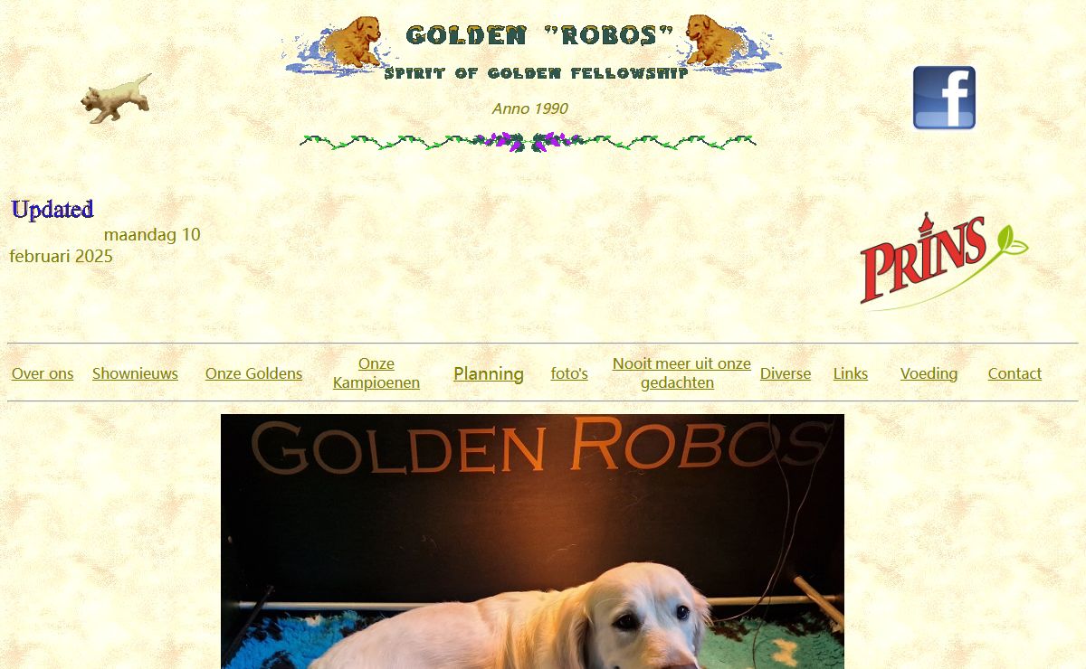 Golden Robos
