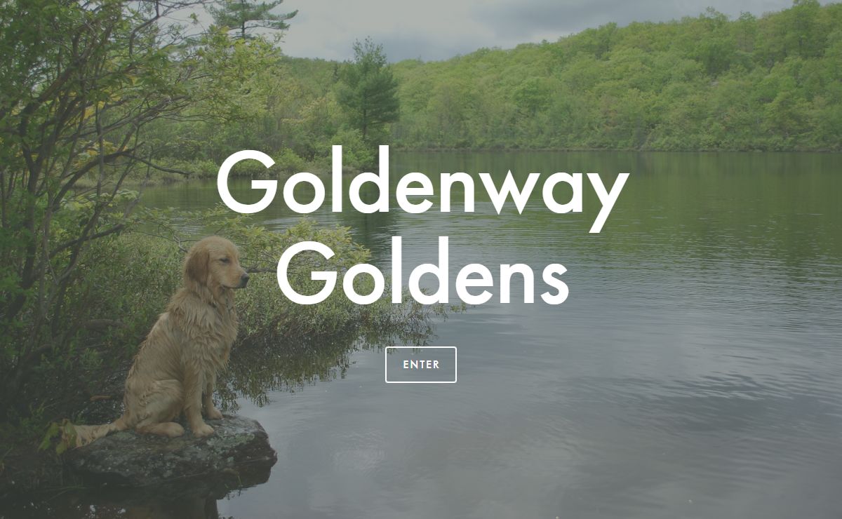 Goldenway Goldens