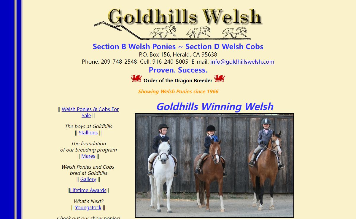 Goldhills Welsh - Section B Welsh Ponies and Section D Welsh Cobs