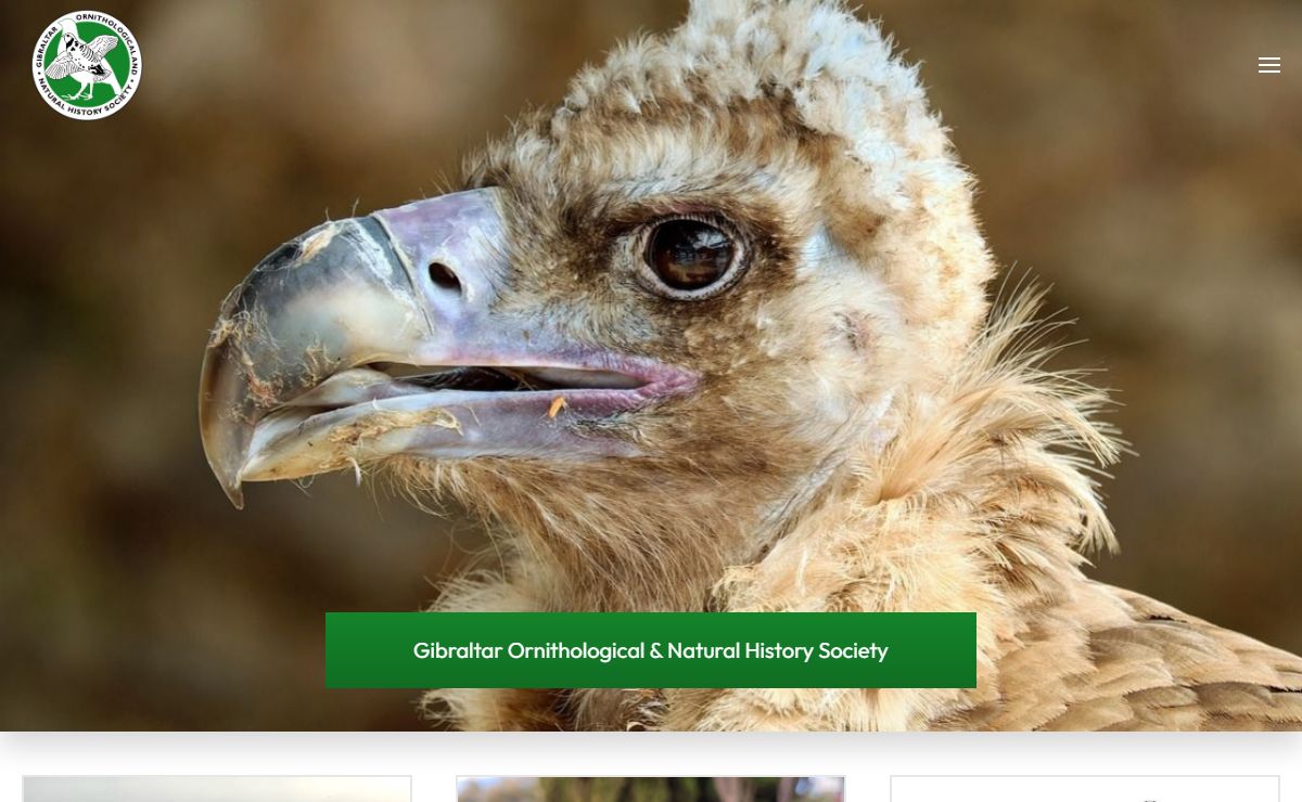 GONHS - Gibraltar Ornithological & Natural History Society
