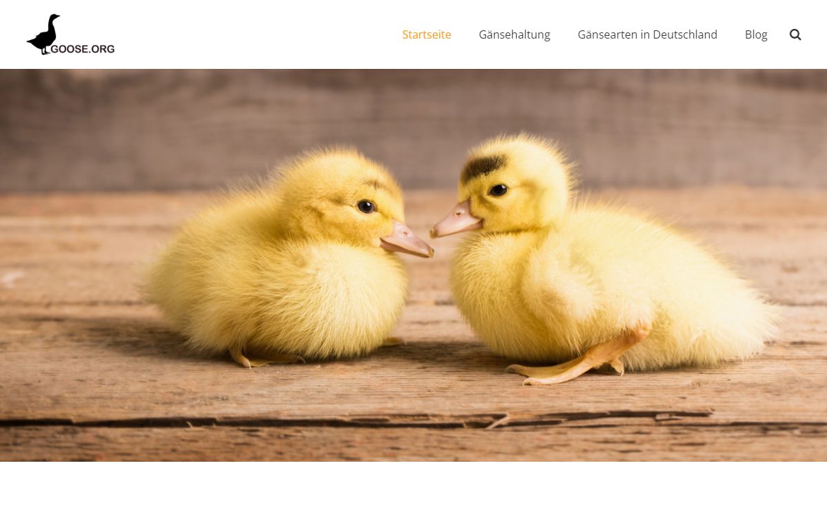 Gänse Portal mit Infos zur Gans über Gänsearten und Gänsehaltung