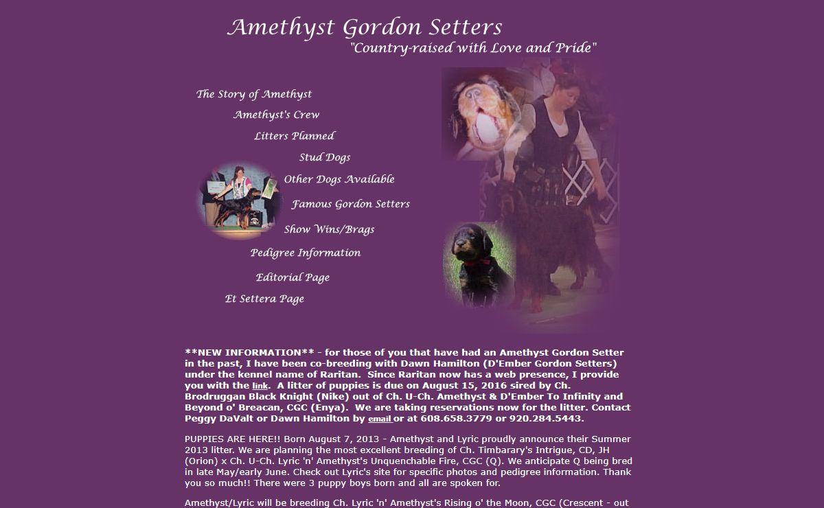 Amethyst Gordon Setters (Raritan Gordon Setters)