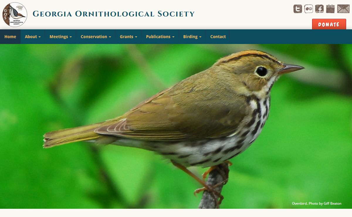 GOS - Georgia Ornithological Society