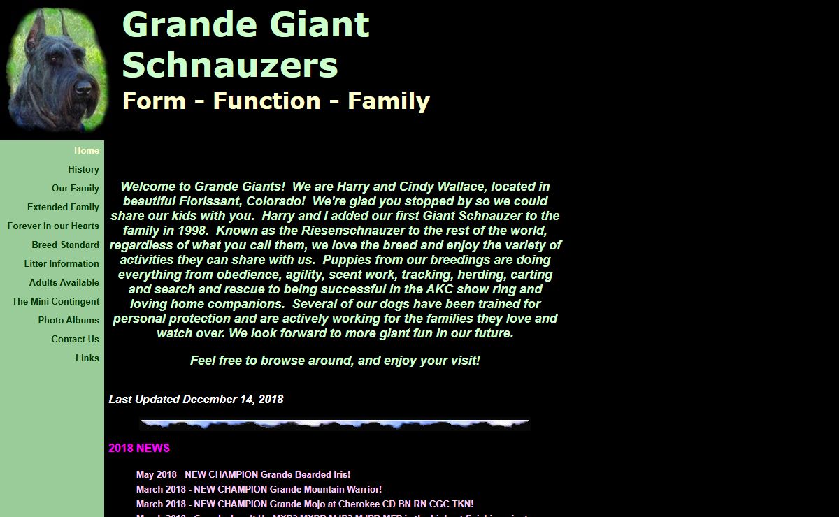Giant Schnauzer Breeder | Puppies | Colorado Giant Schnauzers For Sale