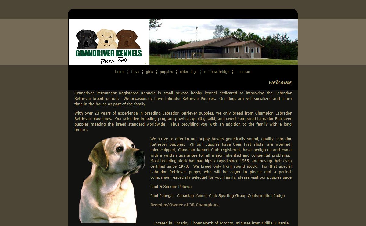 Grandriver Permanent Registered Canadian Kennel Club kennel, labrador retriever puppies ontario, labrador retriever breeder ontario