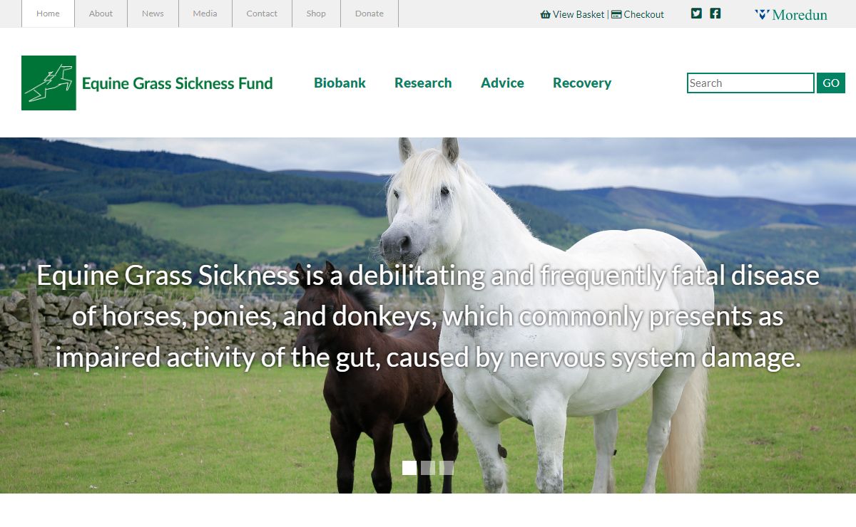 Equine Grass Sickness Fund – A registered charity in the UK raising funds specifically for research into grass sickness