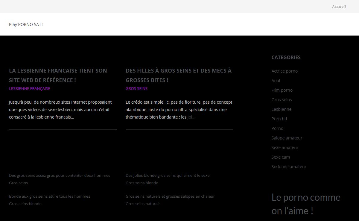 Le satellite du PORNO est lancé !