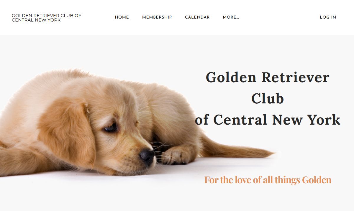 GOLDEN RETRIEVER CLUB OF CENTRAL NEW YORK - Home