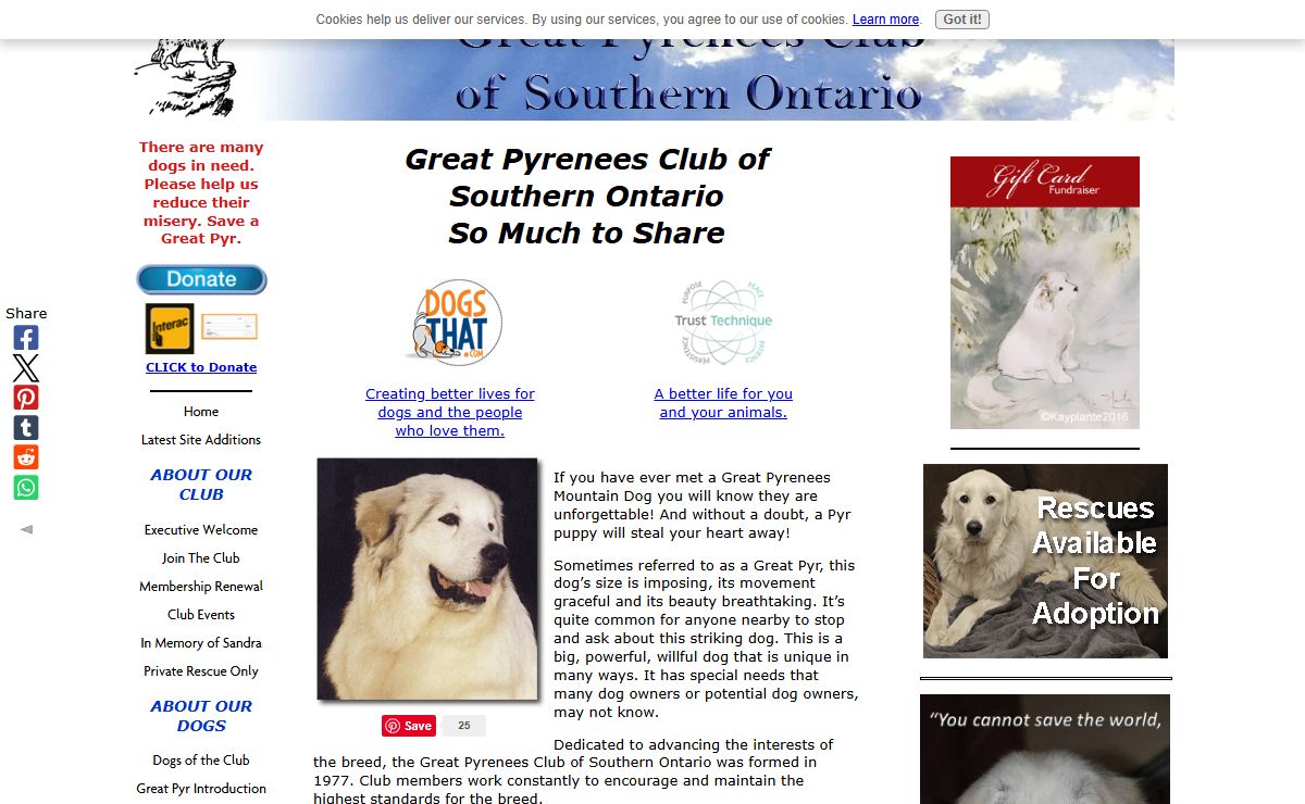 Great Pyrenees Club Serving Southern, Eastern and Western Ontario