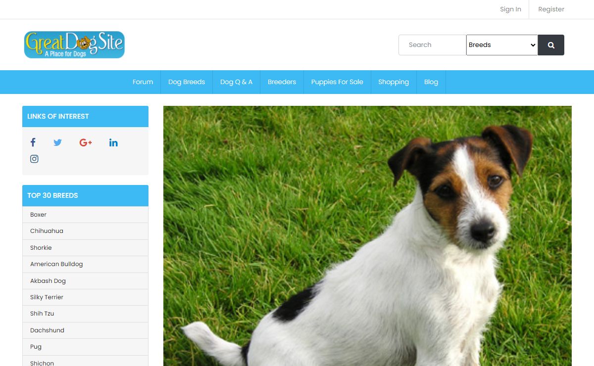 GreatDogSite | Wikipedia of Dog breeds