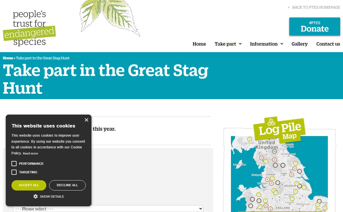 Take part in the Great Stag Hunt - Stag Beetles