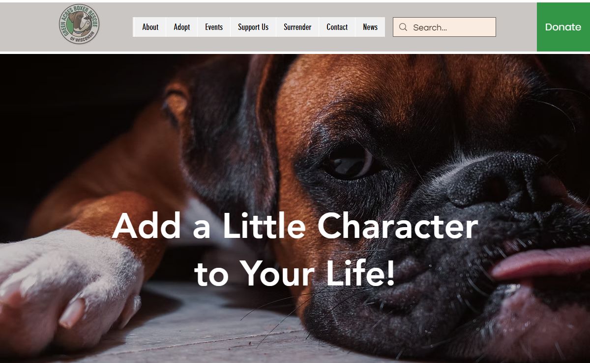 Home | GABR | Boxer Rescue