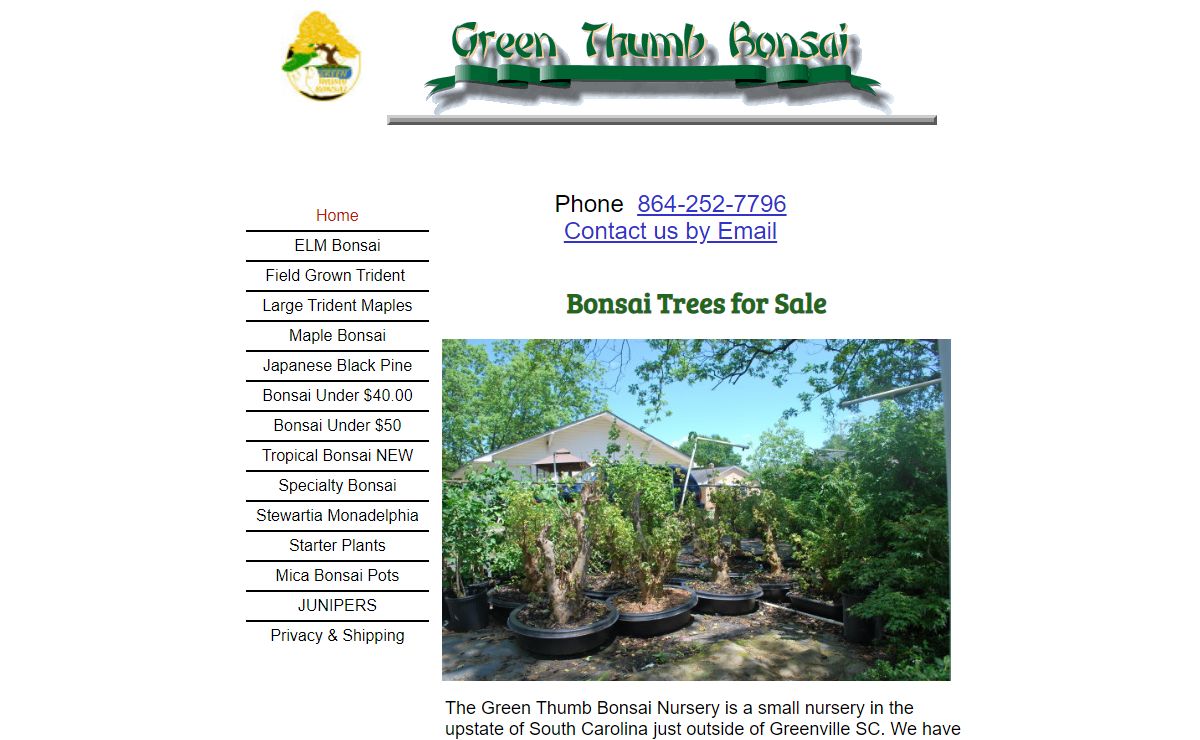 Field Grown Bonsai Trees for Sale in Columbia SC from Green Thumb Bonsai