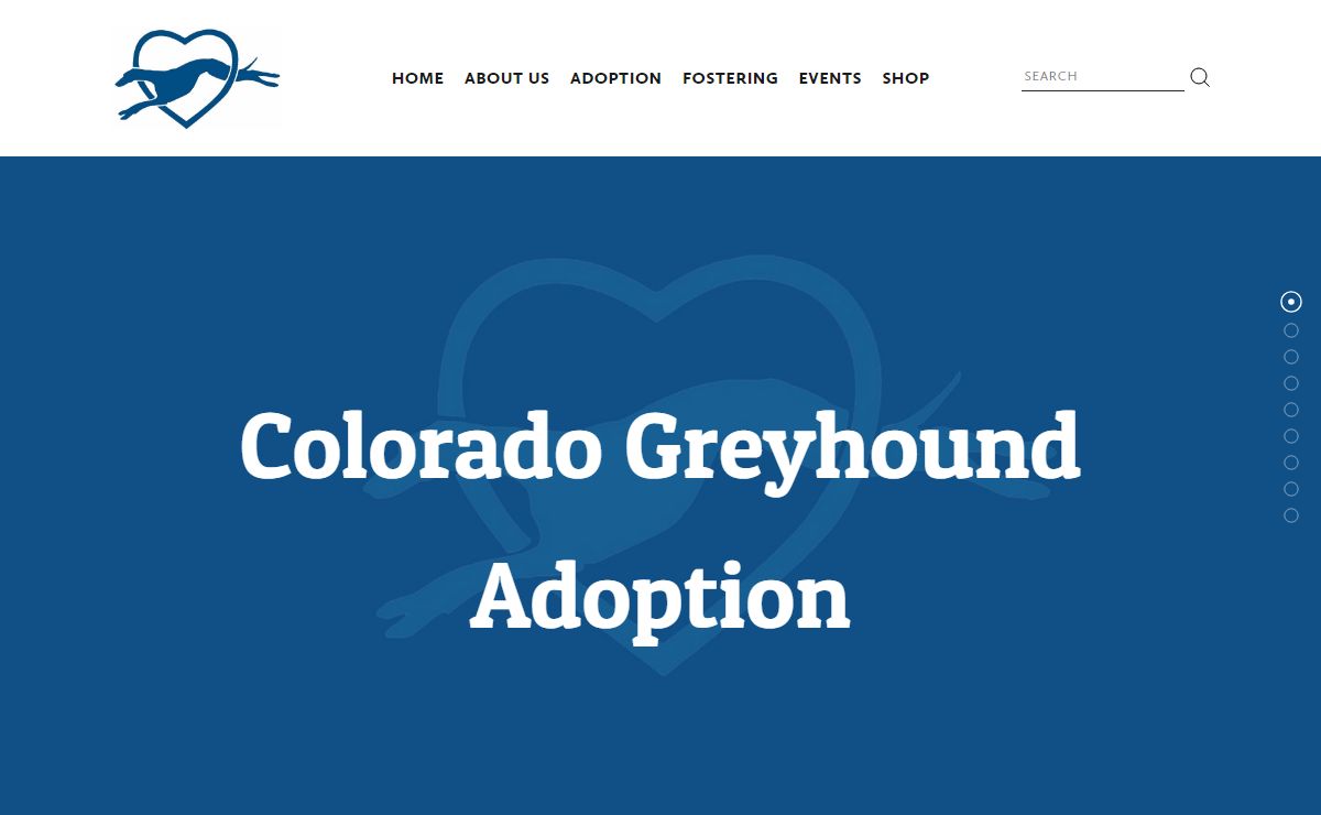 Colorado Greyhound Adoption