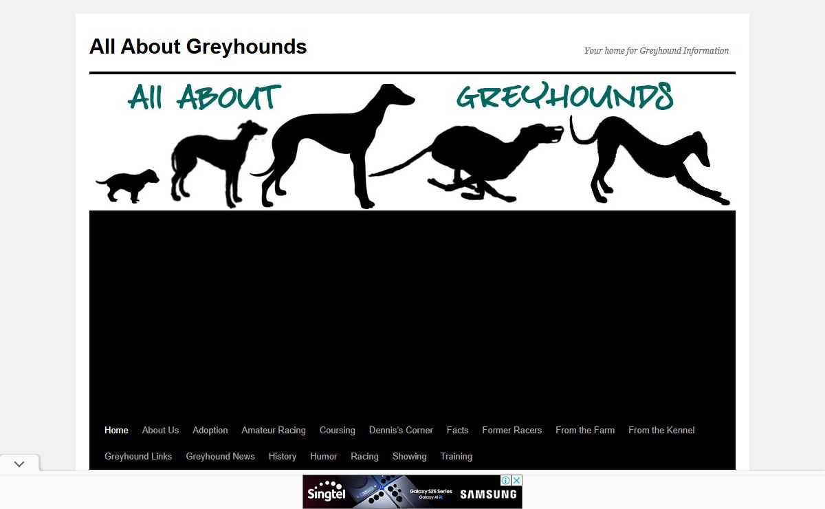 All About Greyhounds | Your home for Greyhound Information