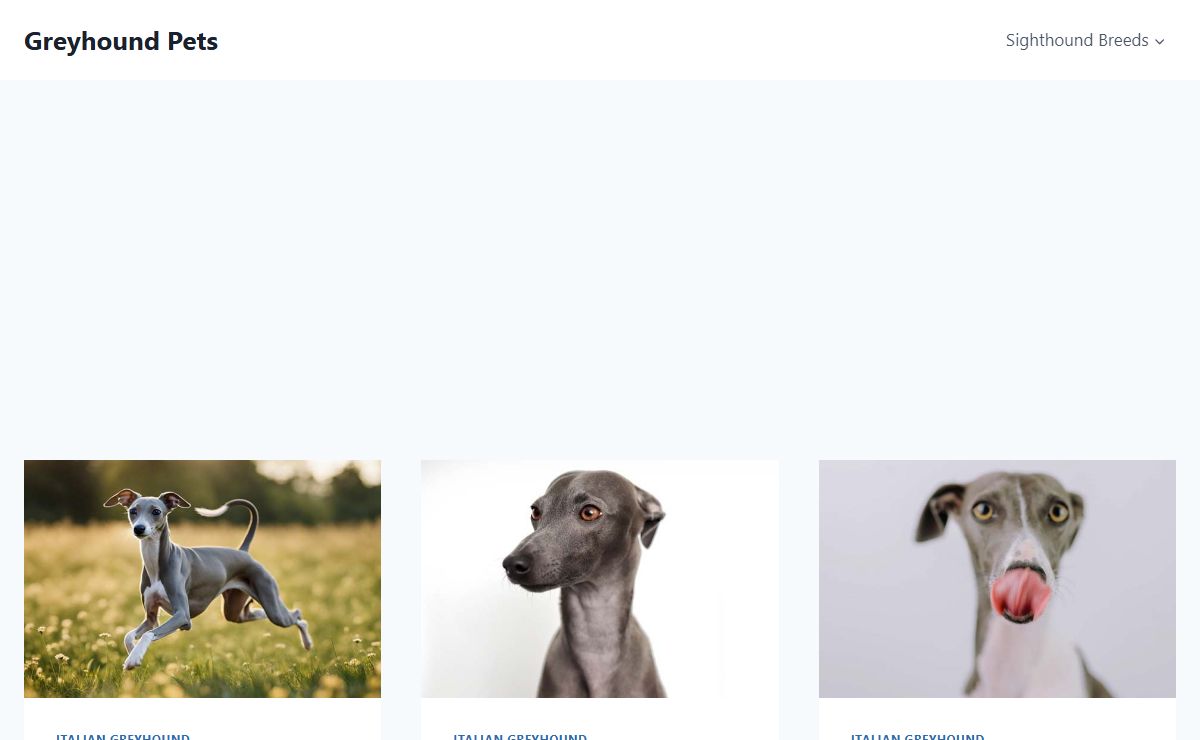 Greyhound Pets - A Real Guide to Greyhound Dog