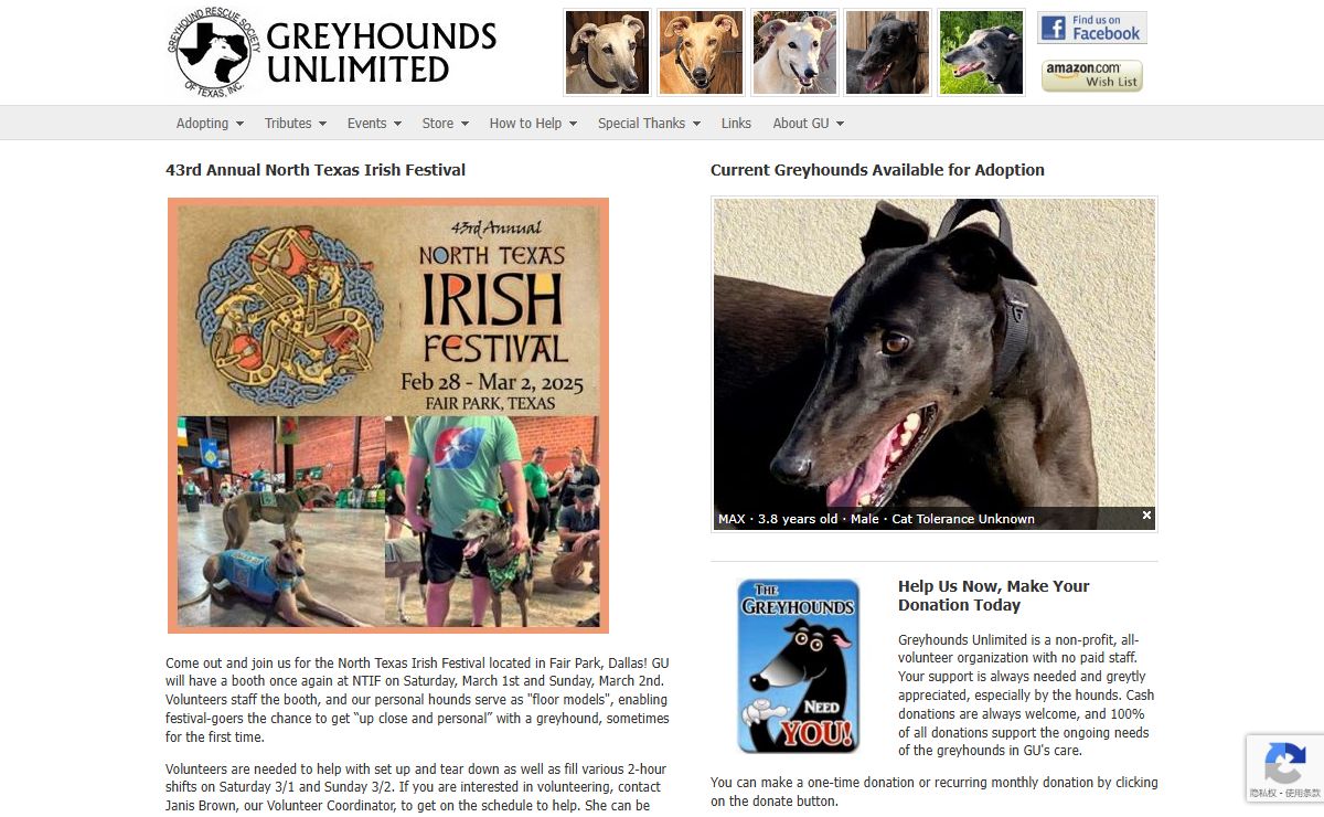 Greyhounds Unlimited