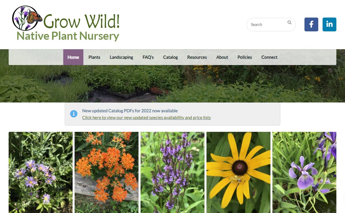 Grow Wild! Native Plant Nursery – Native Plants | Native Trees and Shrubs | Ecological Restoration | Wildflowers | Natural Landscaping