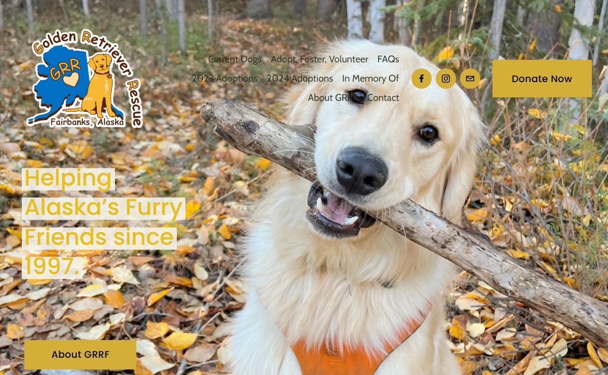 Golden Retriever Rescue of Fairbanks