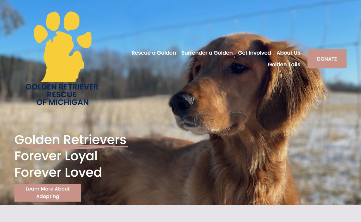 Golden Retriever Rescue of Michigan