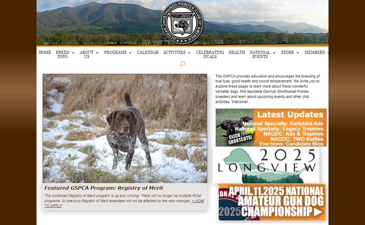 GSPCA German Shorthaired Pointer Club of America | Learn more about this wonderful, versatile dog, the German Shorthaired Pointer.