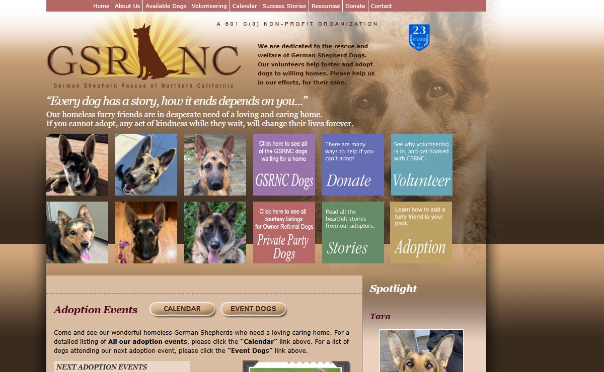 2024 German Shepherd Rescue of Northern California