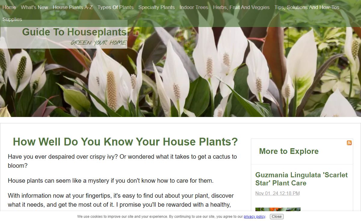 Guide to House Plants - Tips for Growing Plants Indoors