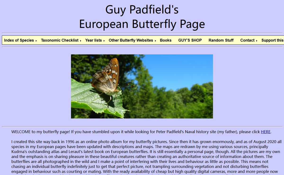 Guy's Butterflies