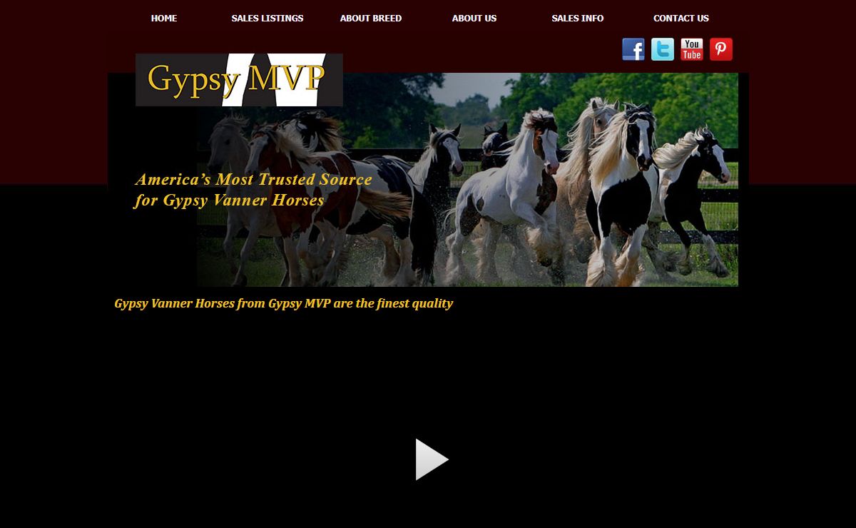 Gypsy Vanner Horses-Gypsy Horses for Sale-Gypsy MVP