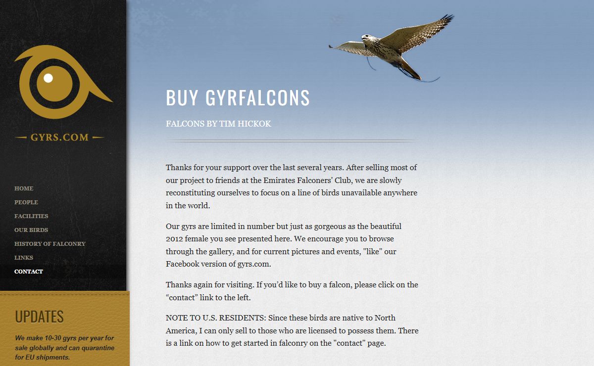 Buy Gyrfalcons at Flint Hills Falcons LLC