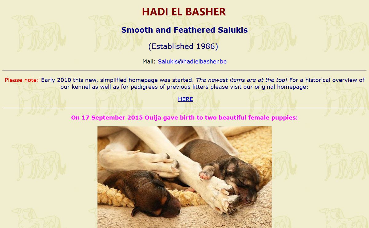 HADI EL BASHER