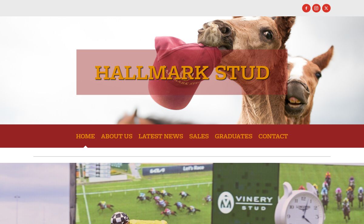 Home | Hallmark Stud