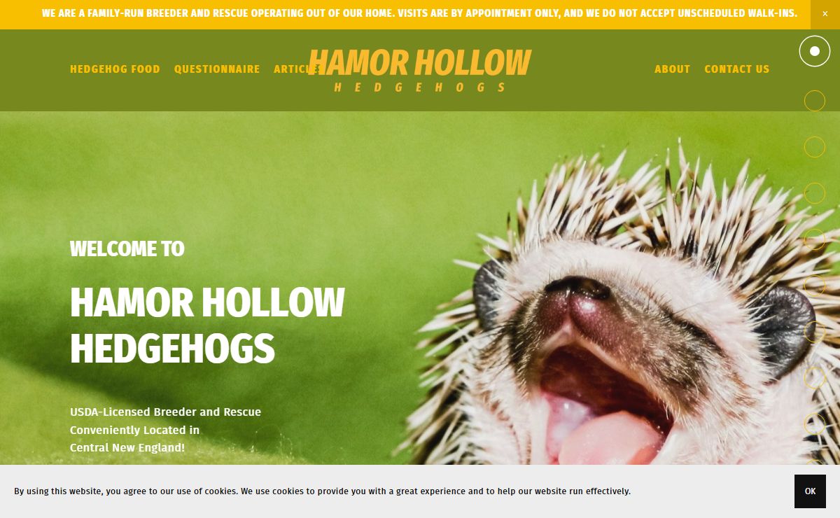 Hamor Hollow Hedgehogs — USDA-Licensed Breeder and Rescue — Conveniently Located in Central New England!