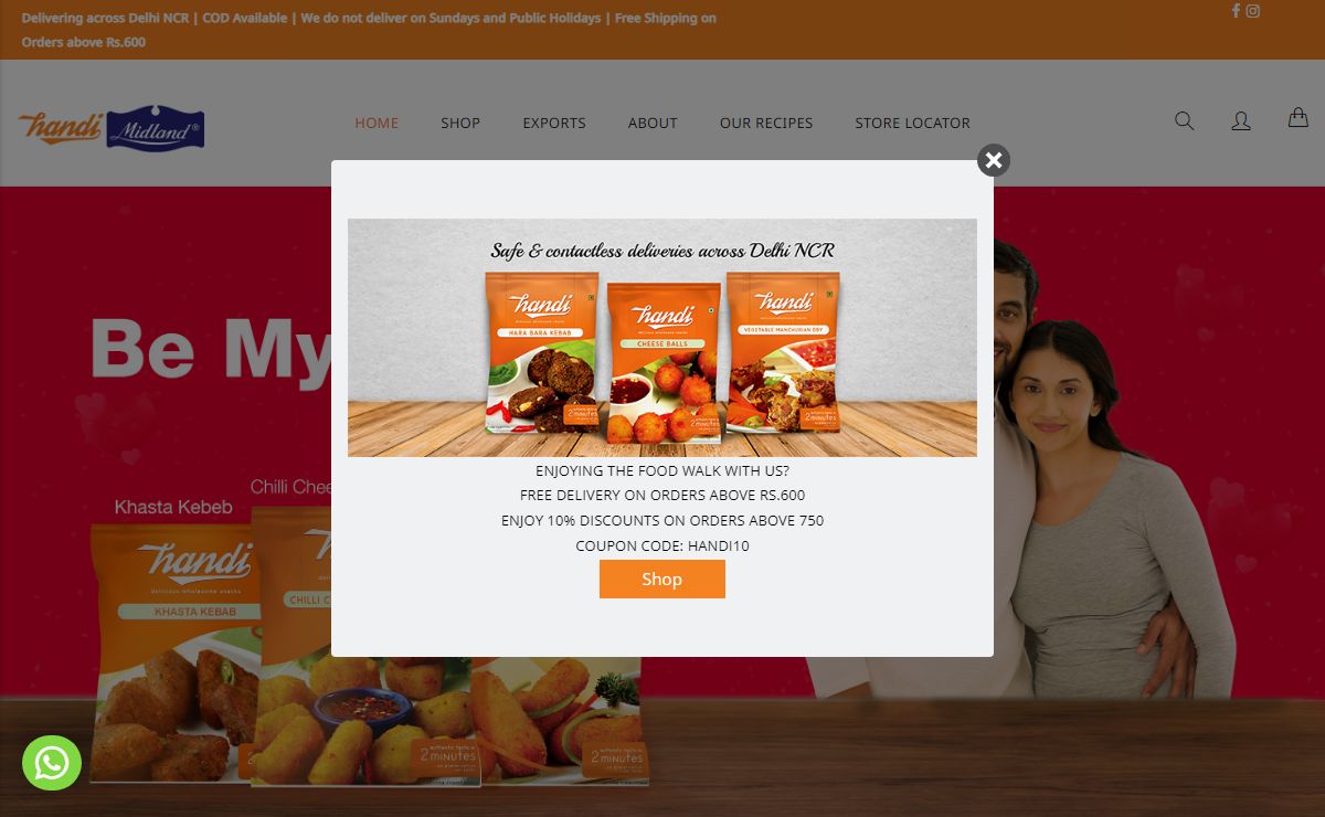 Order Ready to Eat Frozen Snacks, Frozen Food Products Delivery in Delhi NCR - Handi Bazaar