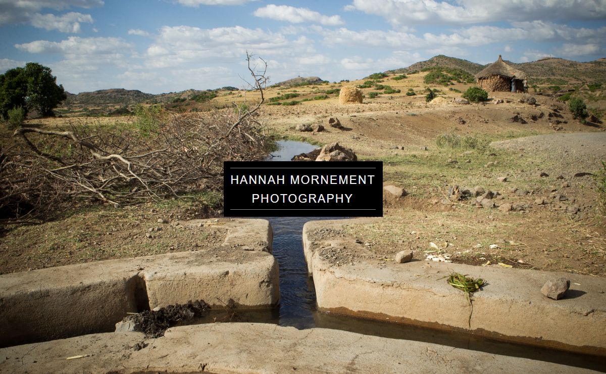 Title - Hannah Mornement's Portfolio