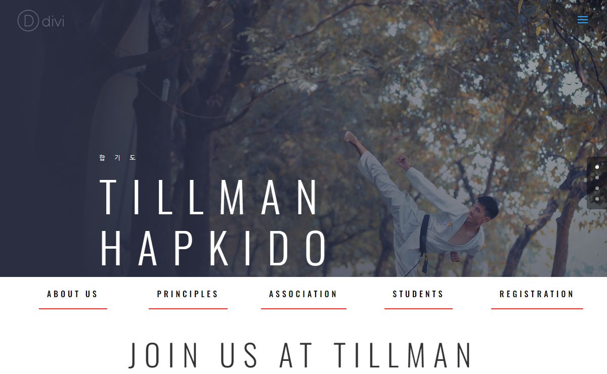 Tillman Hapkido | The only Hapkido school in Calgary that is a chartered member of the National Korean Martial Arts Association. Includes principles, curriculum and student area.