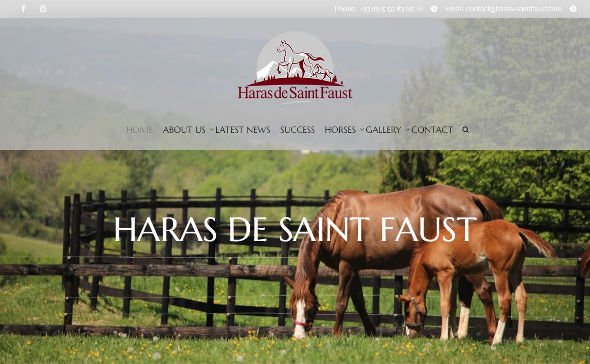 Haras Saint Faust – The perfect place for Arabian Horses
