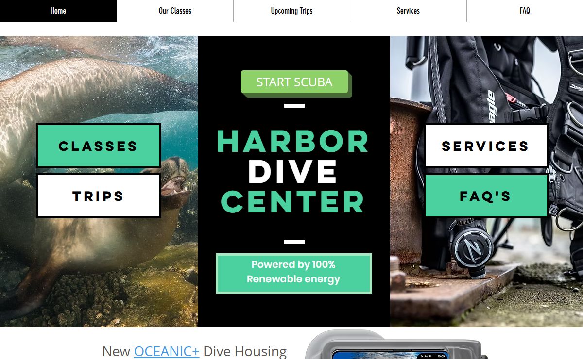 Scuba Lessons | San Francisco Bay | Harbor Dive