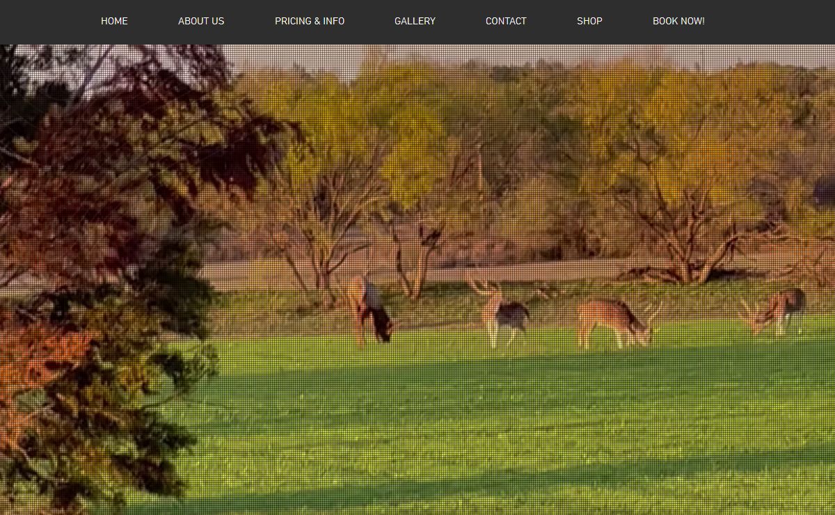 Texas Guided Hunts | Hard Knocks Outdoors