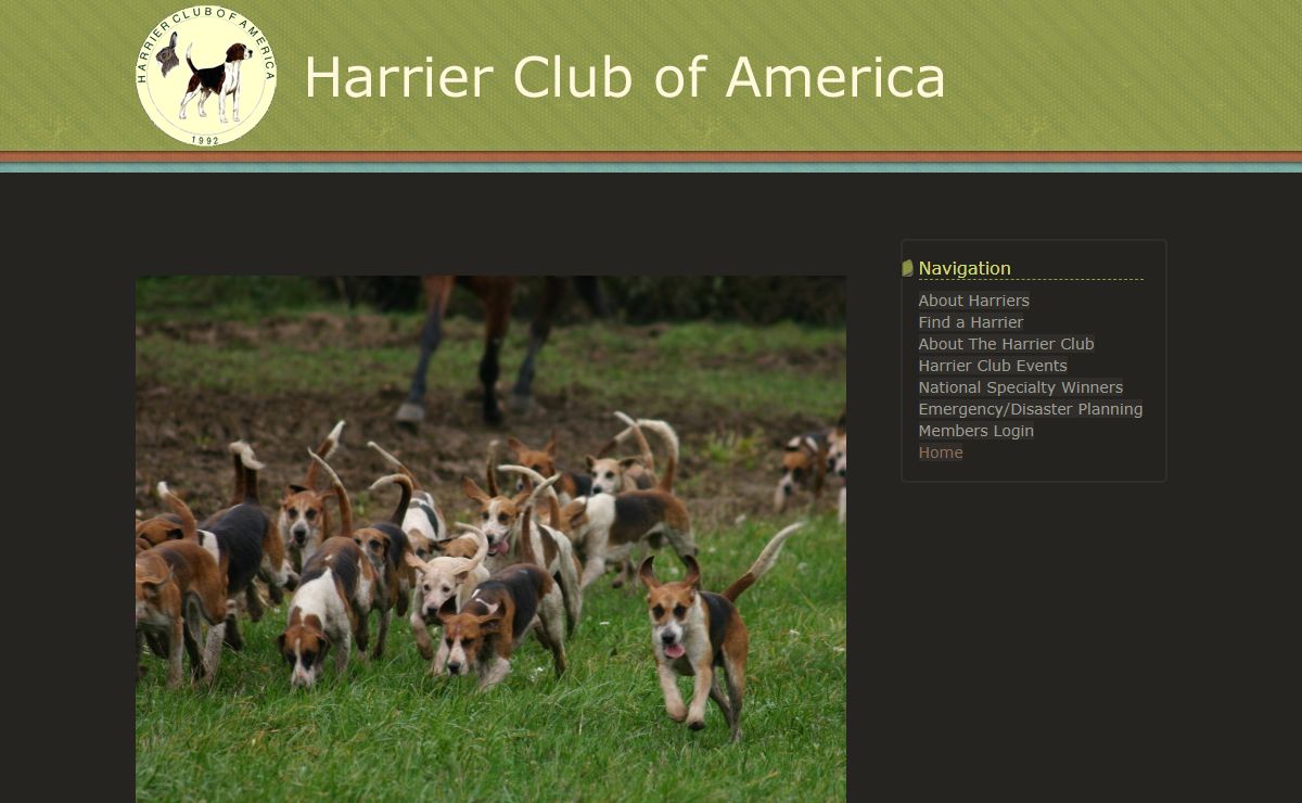Harrier Club of America - Home