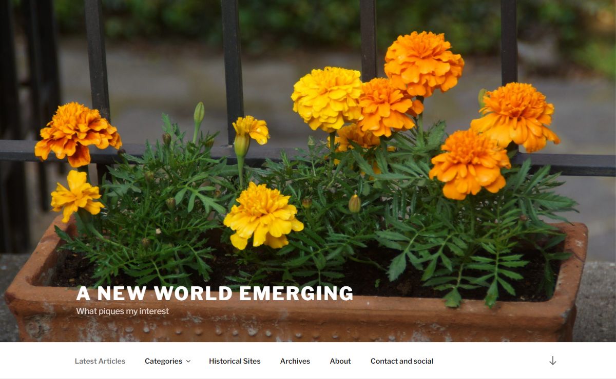 A new world emerging - What piques my interest