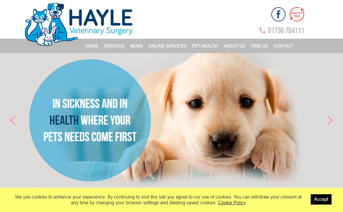 Hayle Veterinary Surgery