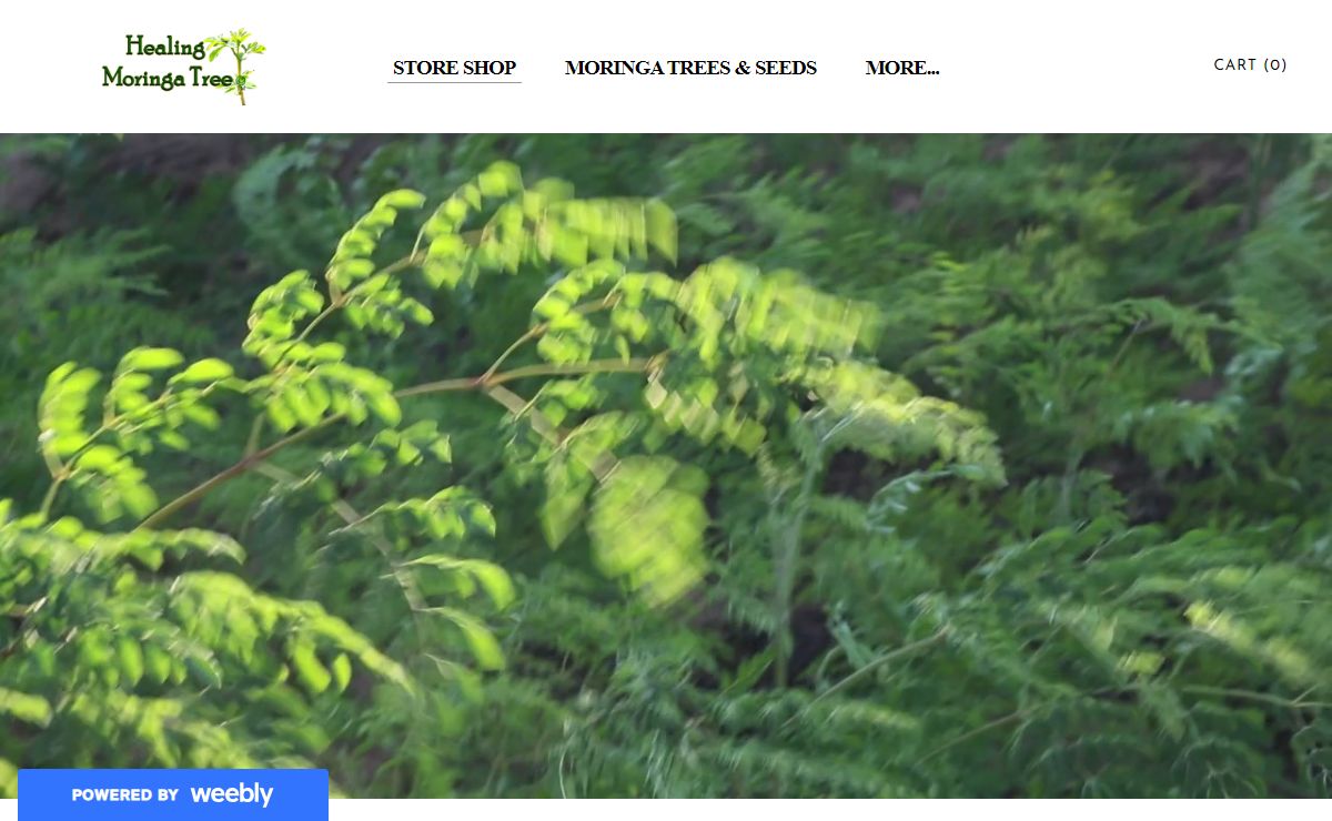 BUY ORGANIC MORINGA TREES* MORINGA SEEDS* ORGANIC HERBAL SMOKES* US MADE MORINGA PRODUCTS*ORGANIC HEMP Oil *SOAP* MORINGA PRODUCTS* MORINGA DEODORANT * MORINGA SKIN CARE* MORINGA OIL * MORINGA FOR PETS