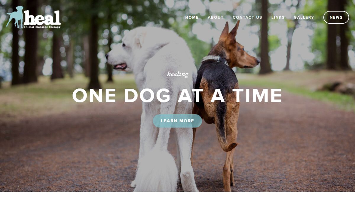heal animal massage therapy