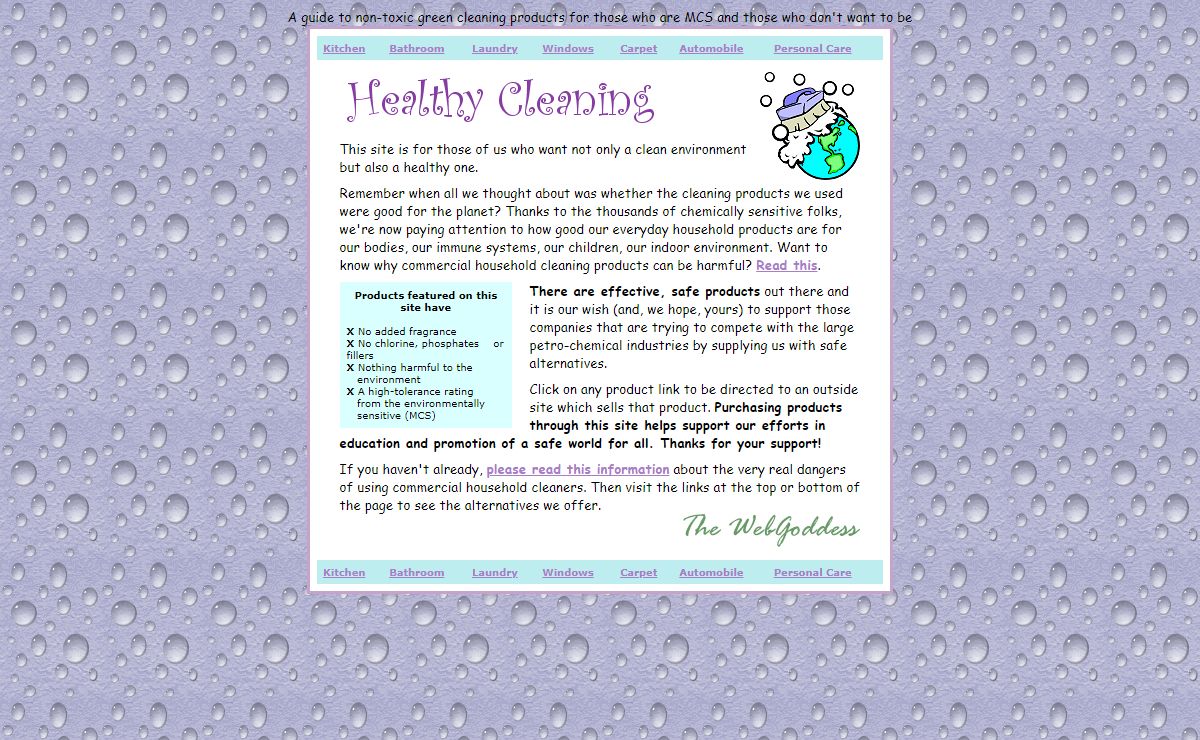 Healthy Cleaning - a guide to green cleaning: non toxic products for home and office