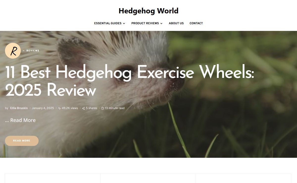 Hedgehog World