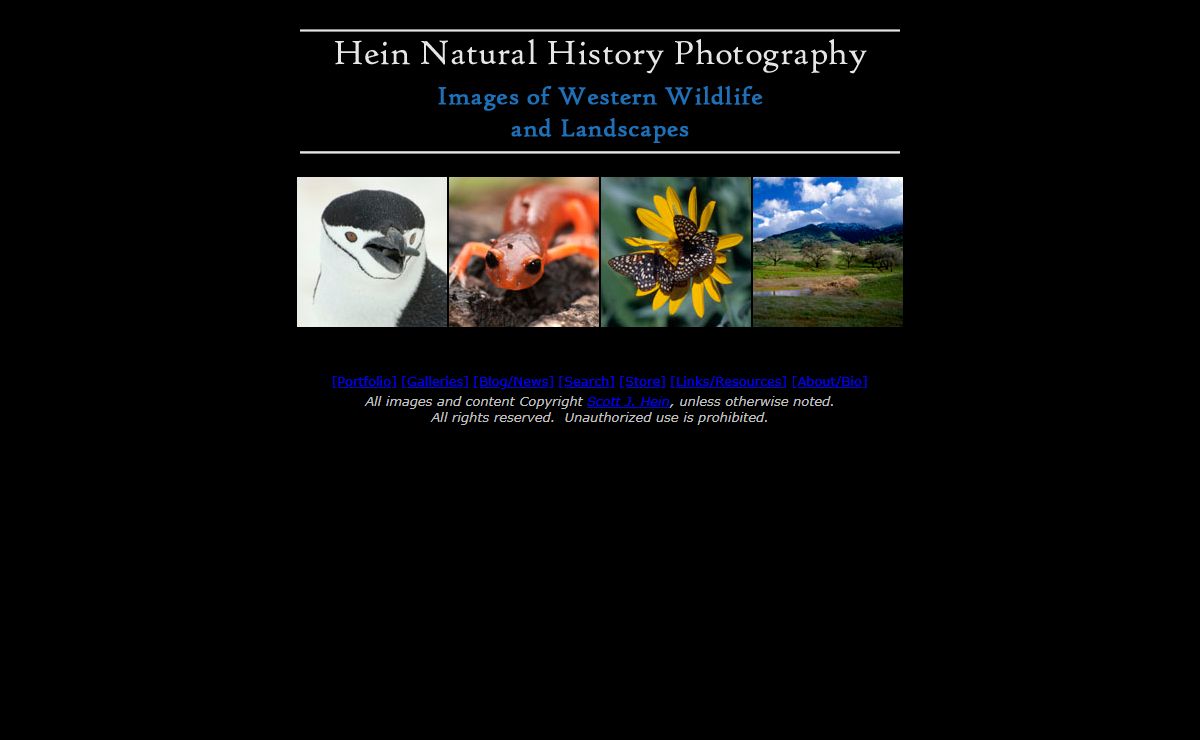 Hein Natural History Photography