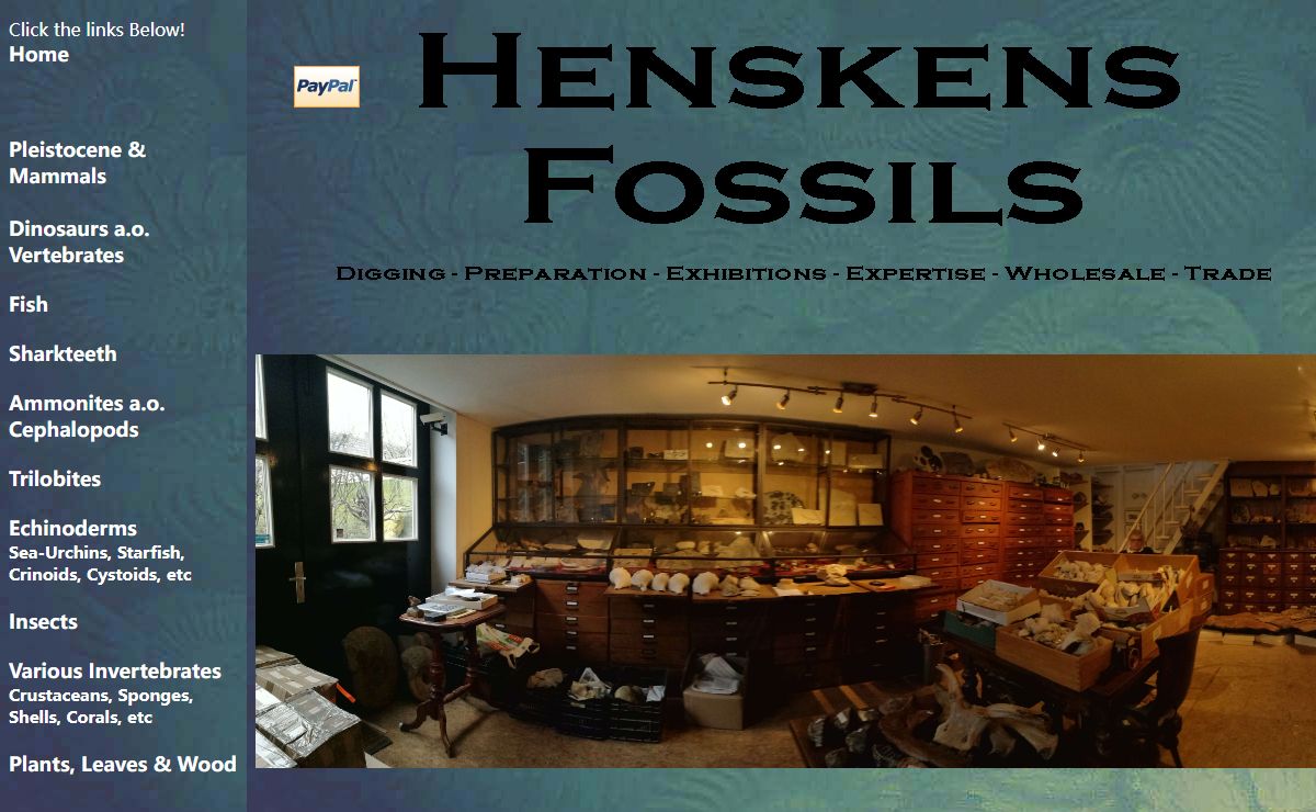 Henskensfossils