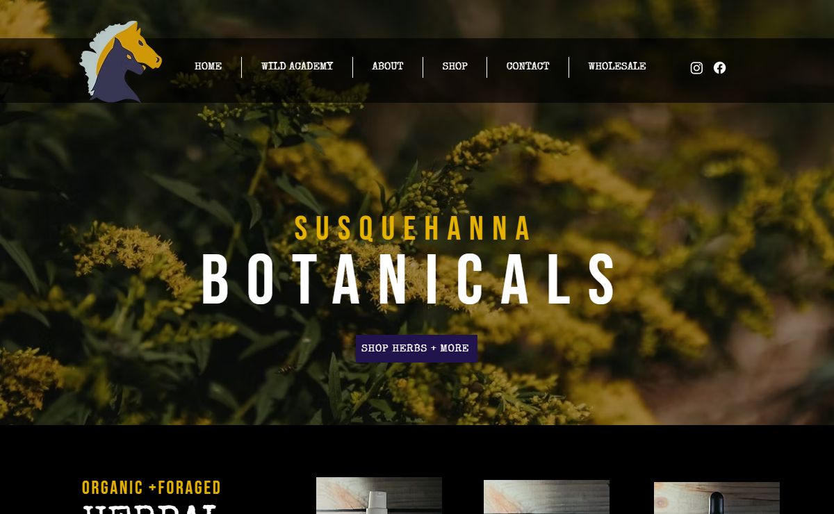 Susquehanna Botanicals | High Quality Herbal Remedies | Bioavailable Tinctures | Lancaster, PA